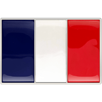 France Flag Buckle