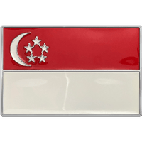 Singapore Flag Buckle