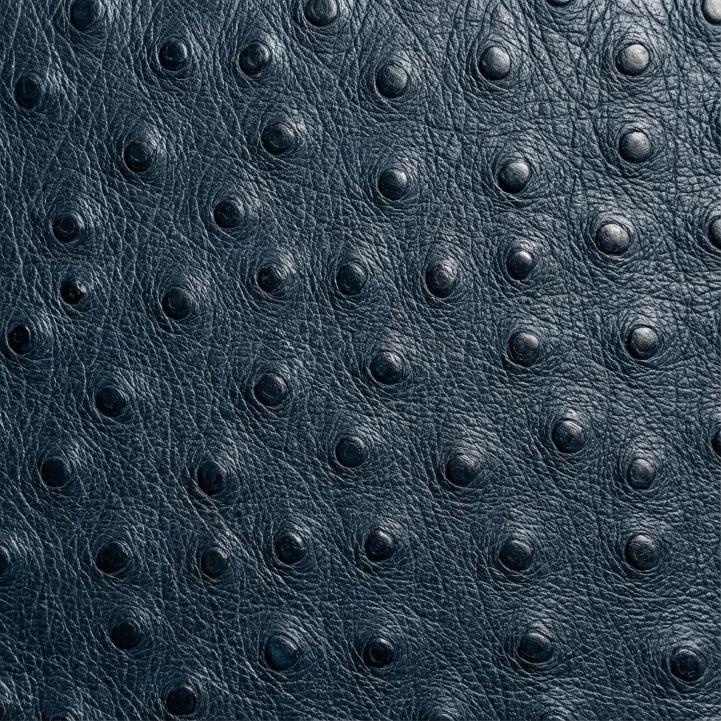 Ostrich texture