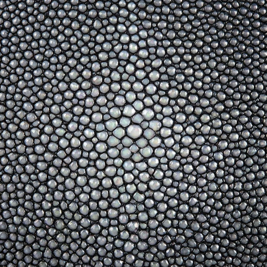 Stingray texture